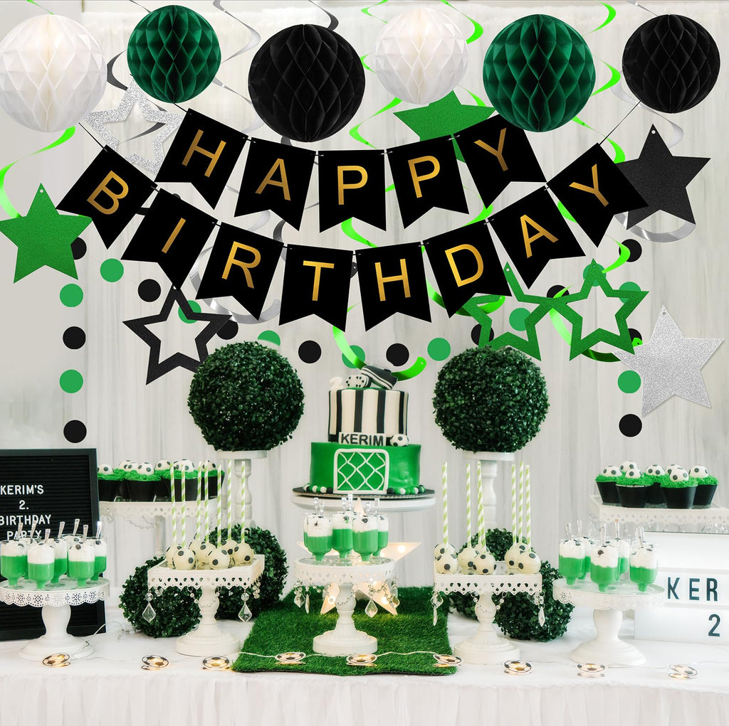 Meowtastic Birthday Decorations — Happy Birthday Banner, Honeycomb Balls, Star Swirl Streamers, Circle Dots (Green & Black)