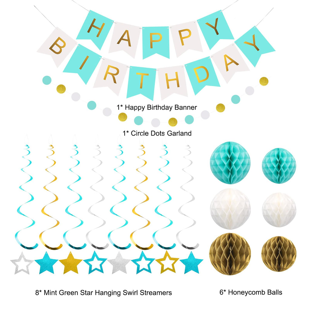 Meowtastic Birthday Decorations – Banner, Honeycomb Balls, Stars Swirls, Circle Dots (Mint)