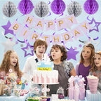 Meowtastic Birthday Decorations - Banner, Honeycomb Balls, Stars Swirls, Circle Dots (Purple & Silver)
