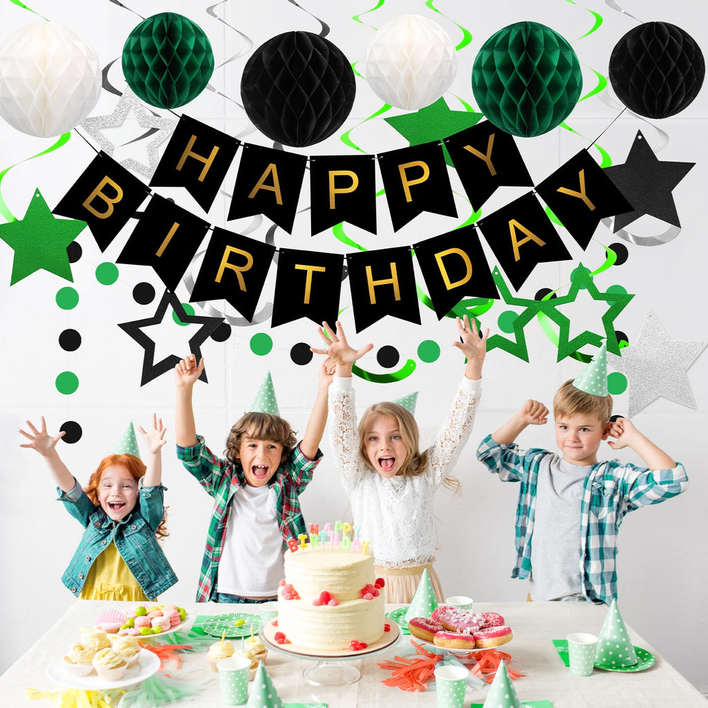Meowtastic Birthday Decorations — Happy Birthday Banner, Honeycomb Balls, Star Swirl Streamers, Circle Dots (Green & Black)
