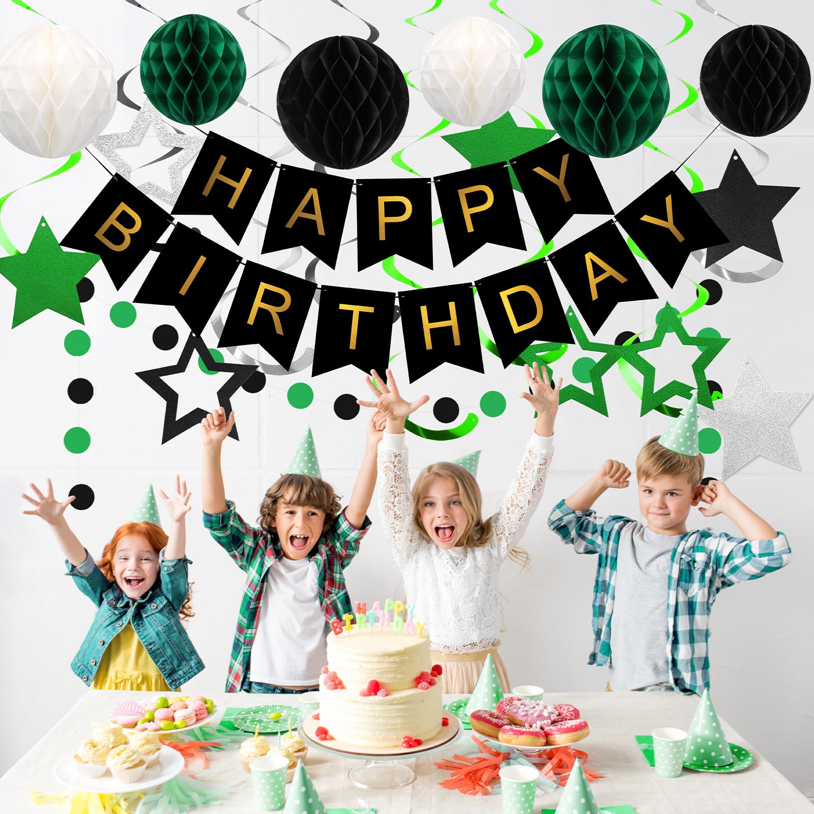 Meowtastic Birthday Decorations — Happy Birthday Banner, Honeycomb Balls, Star Swirl Streamers, Circle Dots (Green & Black)
