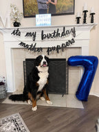 Mluchee 40-Inch Navy Blue Number Balloons — Birthday, Engagement & Wedding Decor
