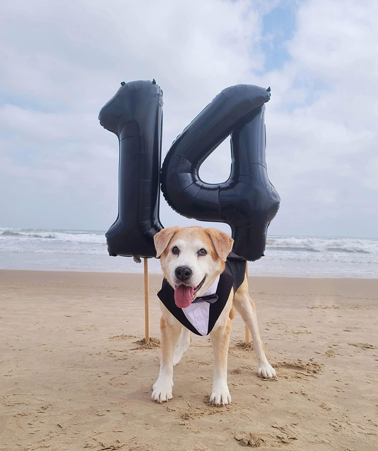 Mluchee 40-Inch Number Balloon Set – 4 Black Balloons for Birthdays, Weddings, Graduations