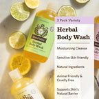Moon Valley Organics Herbal Body Wash Variety 3 Pack — Lavender, Peppermint & Siberian Fir | Vegan, Paraben-Free