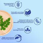 2 Pack Pure Moringa Organic Leaf Liquid Drops 10:1 Extract | 6X Absorption | Energy & Immunity
