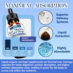 2 Pack Pure Moringa Organic Leaf Liquid Drops 10:1 Extract | 6X Absorption | Energy & Immunity