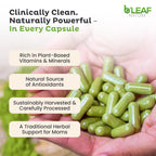 B’Leaf Nature Organic Moringa Capsules 1000mg – Immune Support, Energy & Wellness (Vegan, Non-GMO) | 180 Count