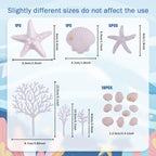 Morofme 20Pcs Seashells Cake Toppers – Ocean Themed Dessert Decor