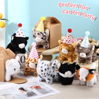 Motionchic 20-Set Cat Plush Toys with Birthday Hats & Kraft Boxes