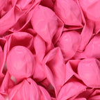 Mr. Pen Balloons – 54 Pack, 12 Inch, Pink – Party & Valentine Decor