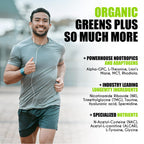 myBrainCo. Nootropic Greens — Premium Organic Brain, Body & Longevity Optimizer (15.9 oz)