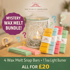 Mystery Wax Melt Bundle with Botanical Burner – 5 Piece Set
