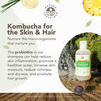 Nature Sustained Organic Shampoo with Probiotics – Sulfate Free, Hypoallergenic, Lemongrass 9oz