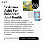 Nature's Diet Beef Collagen Peptides Type 1 for Dogs & Cats – Joint, Digestion & Skin Health | Premium Human Grade, Grass-Fed