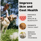 Nature's Diet Beef Collagen Peptides Type 1 for Dogs & Cats – Joint, Digestion & Skin Health | Premium Human Grade, Grass-Fed