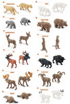 NatureMan North American Animals Set – 12 Mini PVC Figurines for Play, Education & Cake Toppers