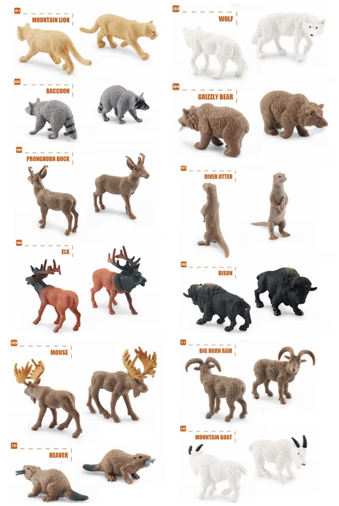 NatureMan North American Animals Set – 12 Mini PVC Figurines for Play, Education & Cake Toppers