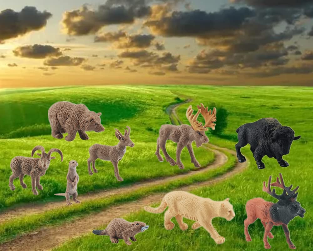 NatureMan North American Animals Set – 12 Mini PVC Figurines for Play, Education & Cake Toppers