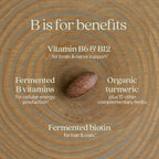 New Chapter Fermented Coenzyme B Complex – Organic B Vitamins (B12, B6, Biotin) 30 ct