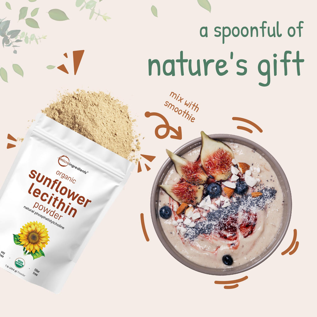 Bio Sonnenblumenlecithin Pulver – 454g, kaltgepresst & gentechnikfrei