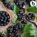 Organic Aronia Berry Capsules – Immune Support, 500mg | 90 Vegan Caps