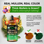 USDA Organic Mullein Drops for Lungs – 4 fl oz | Made in USA