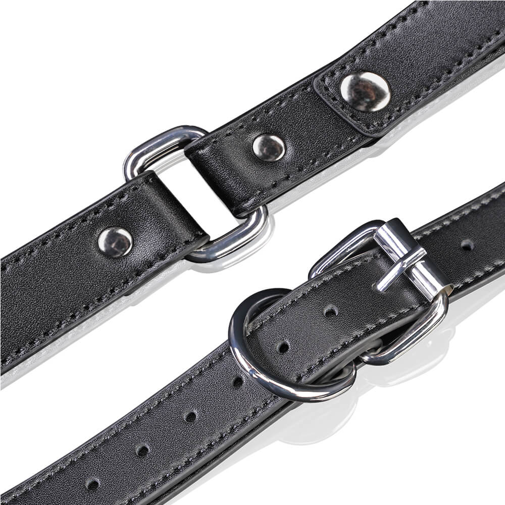 Nothosaur Yrdeno - Strap-On Harness