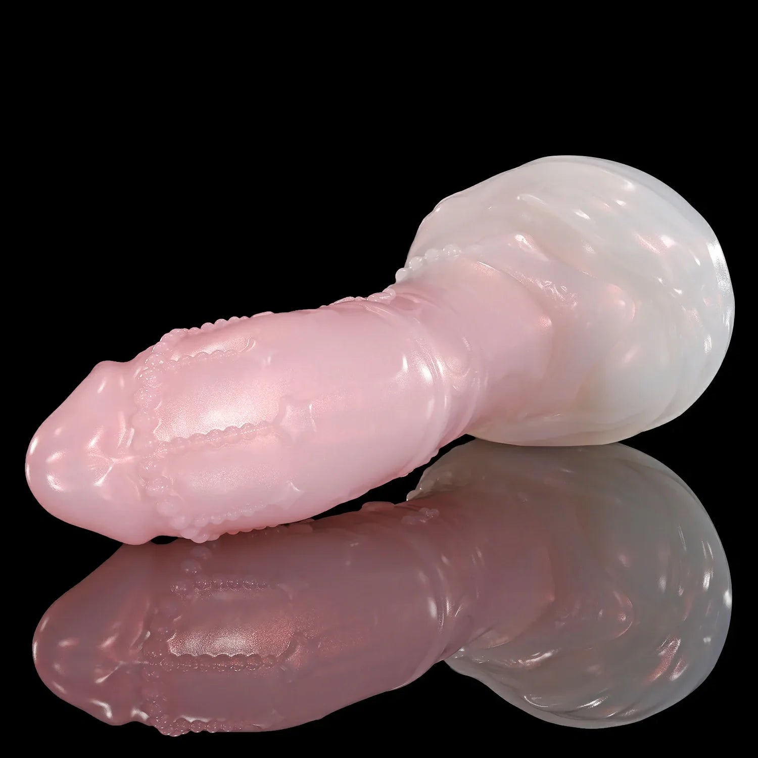 GLOSSY - CASTOR