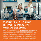 NOW Foods Cat's Claw 500 mg - Non-GMO Project Verified, Herbal Supplement, 100 Veg Capsules