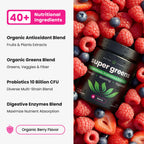 NutraChamps Super Greens Powder Berry 9.0 oz – Premium Organic Green Superfood with Probiotics