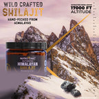 NutroTonic Organic Himalayan Shilajit Gummies – Pomegranate & Vanilla Flavor | Made in USA