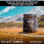 Organic SHILAJIT Gummies by NutroTonic | Cane Sugar Free, Organic Manuka Honey | 30 Gummies