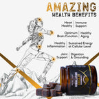 NutroTonic Organic Himalayan Shilajit Gummies – Pomegranate & Vanilla Flavor | Made in USA