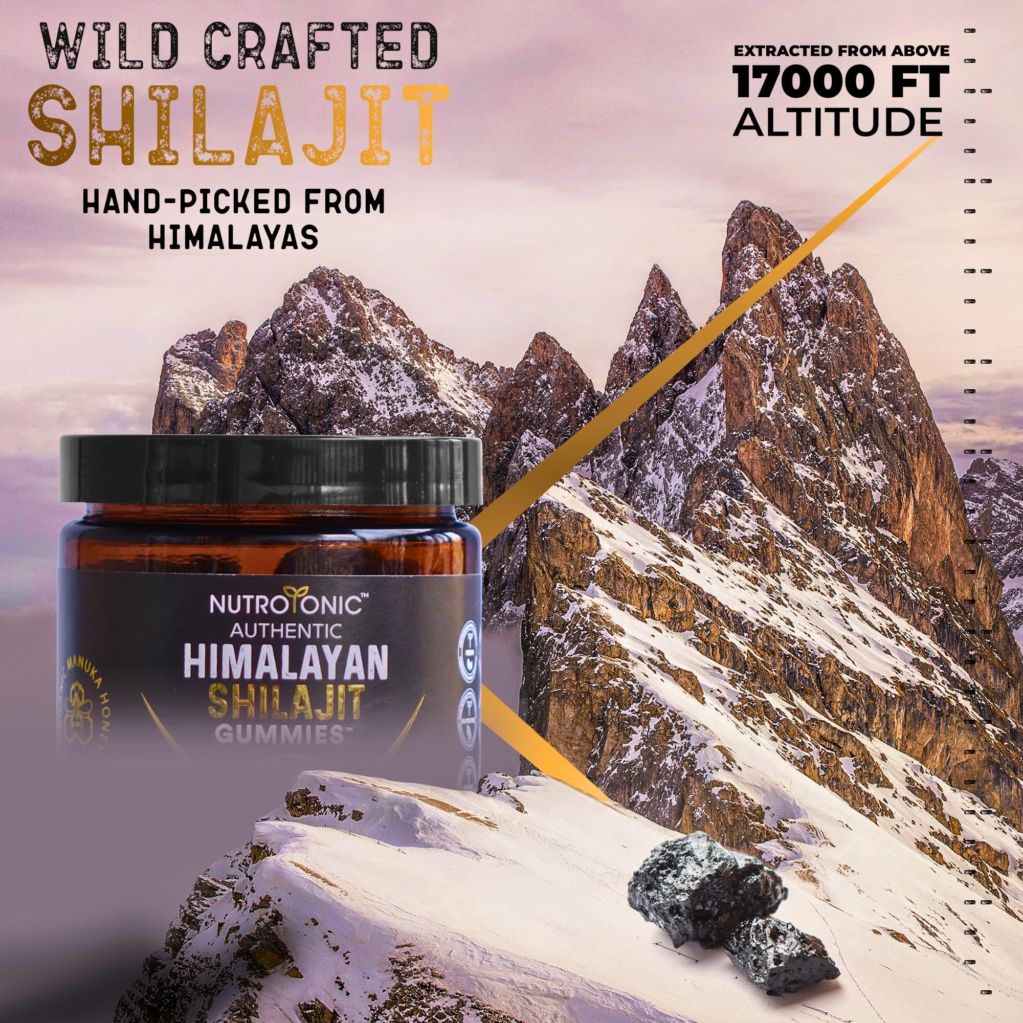 NutroTonic Organic Himalayan Shilajit Gummies – Raspberry Vanilla, Manuka Honey MGO +263 | Made in USA | 30 Gummies