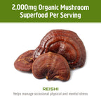 OM Mushroom Reishi Capsules - 90 Count, Organic Adaptogen for Stress & Immune Health