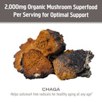 OM MUSHROOM SUPERFOOD Chaga Powder – 7.05 oz, 100 Servings, Organic