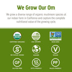 Om Mushroom Reishi Organic Powder – 100 Servings, Stress Relief & Immune Support