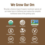 Om Mushroom Superfood Coriolus-Pulver – 100 % Bio-Pilzpulver – 200 g, 100 Portionen