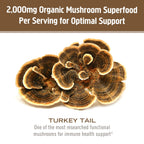 Om Mushroom Superfood Coriolus-Pulver – 100 % Bio-Pilzpulver – 200 g, 100 Portionen