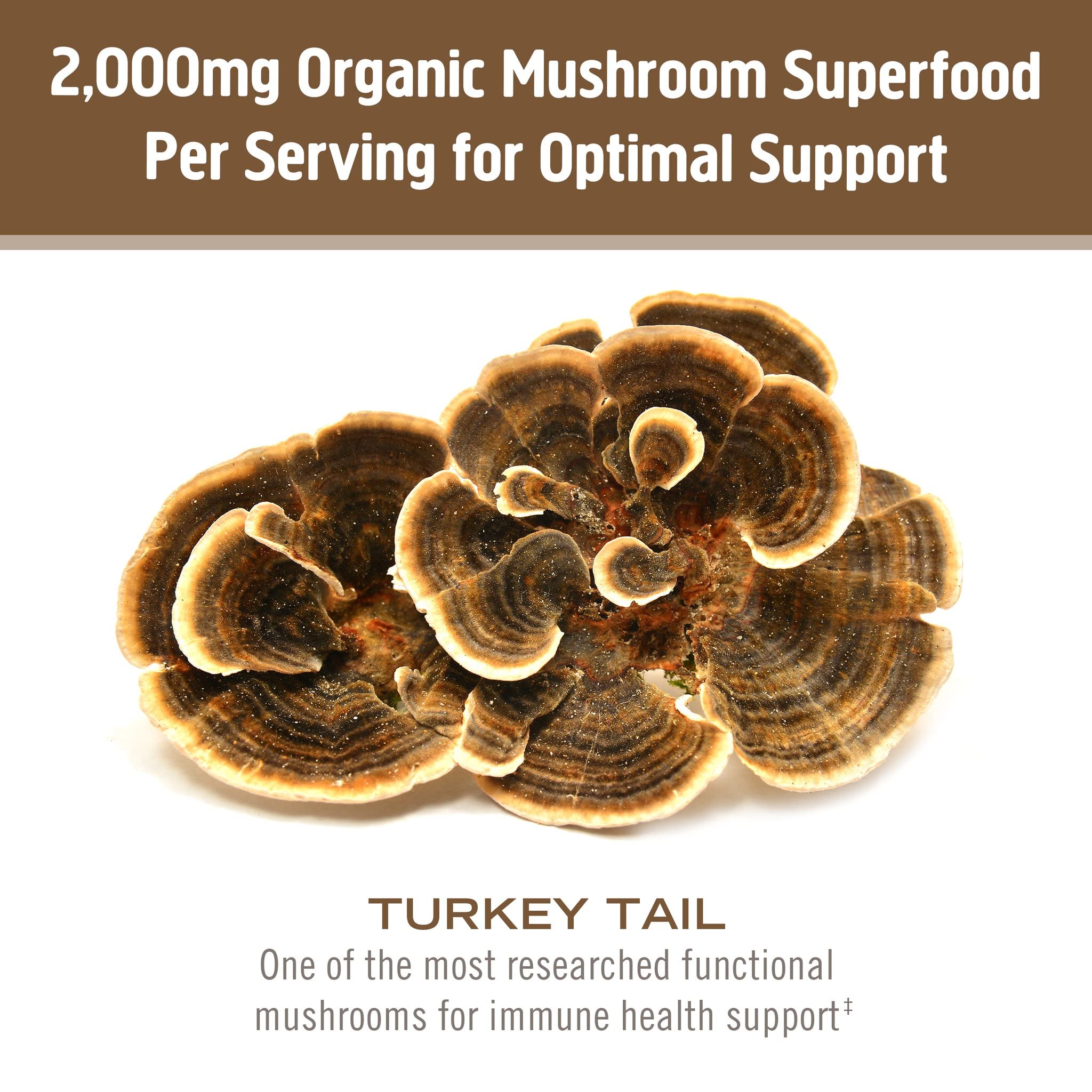 Om Mushroom Superfood Coriolus-Pulver – 100 % Bio-Pilzpulver – 200 g, 100 Portionen