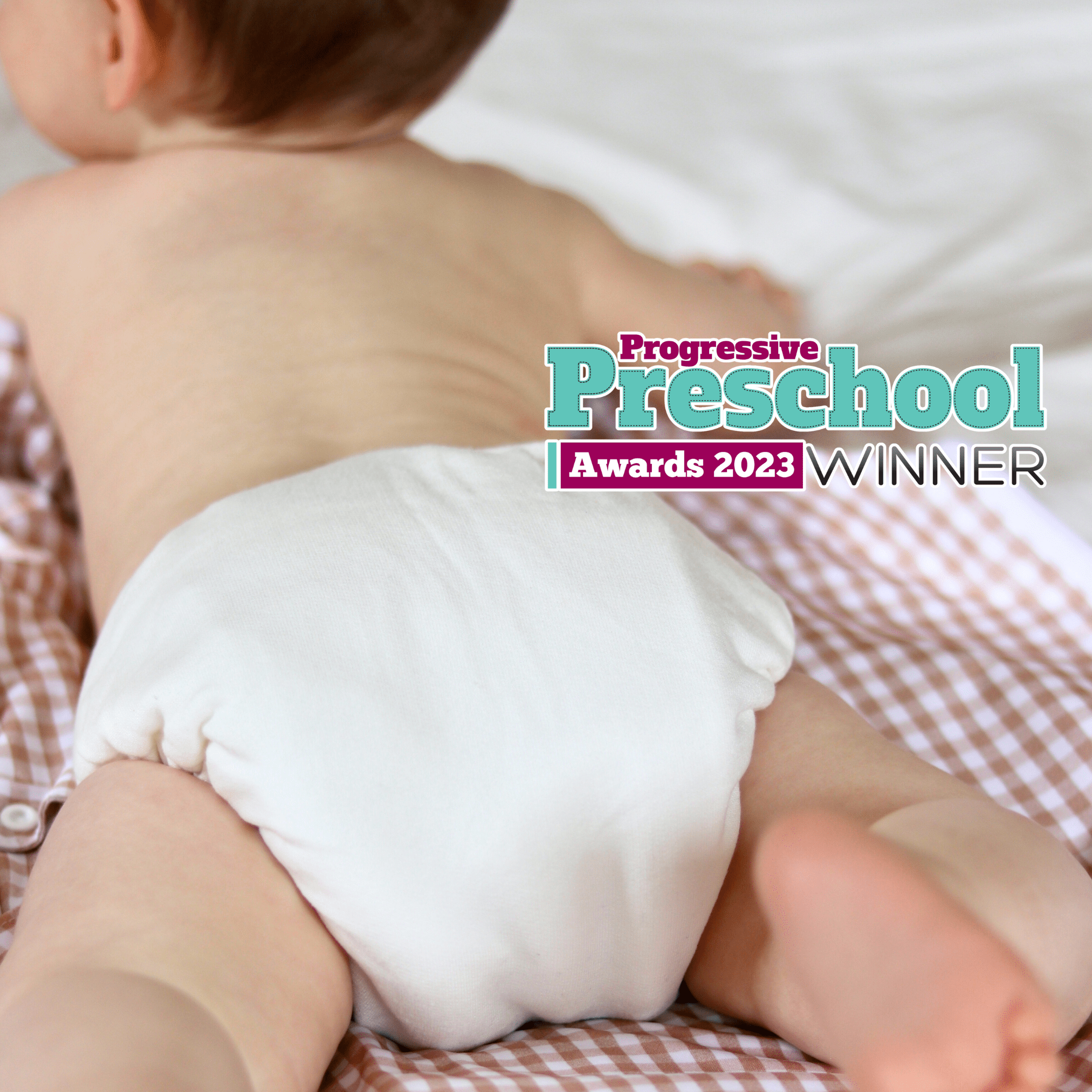 One Size Bamboo Cotton Bedtime Pearl Reusable Cloth Nappy