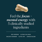 Ora Organic Brain Health Supplement for Focus, Mental Energy & Memory - Panax Red Ginseng, Bacopa Monnieri, Alpha GPC & EnXtra - 60 Capsules