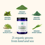 Ora Organic Greens Powder – Citrus Flavor, 30 Servings | Vegan, Gluten-Free, 20+ Organic Greens + Adaptogens