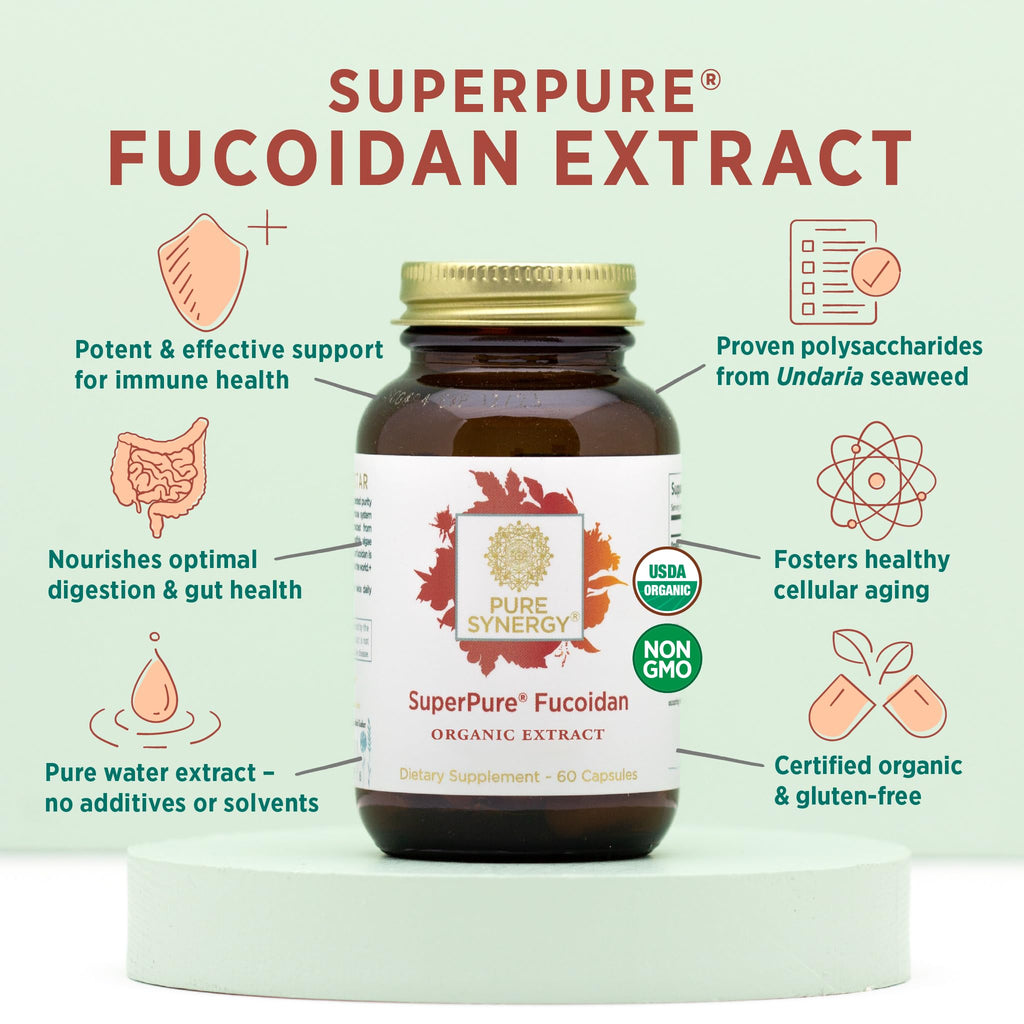 PURE SYNERGY SuperPure Fucoidan-Extrakt | Bio-Braunalgen | Unterstützung für Immunsystem, Verdauung & gesundes Altern (60 Kapseln)