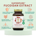 PURE SYNERGY SuperPure Fucoidan-Extrakt | Bio-Braunalgen | Unterstützung für Immunsystem, Verdauung & gesundes Altern (60 Kapseln)