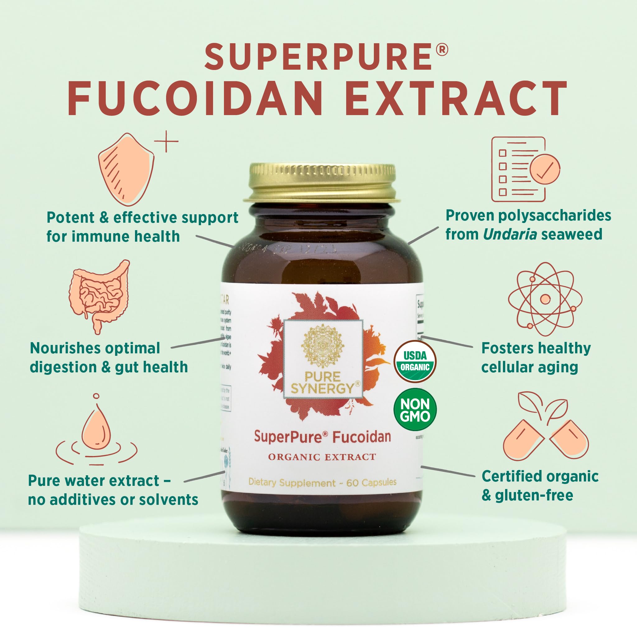 PURE SYNERGY SuperPure Fucoidan-Extrakt | Bio-Braunalgen | Unterstützung für Immunsystem, Verdauung & gesundes Altern (60 Kapseln)