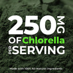 Earth Circle Organics Organic Chlorella Tablets 400 Count – High Potency, Broken Cell Wall, Vegan & Kosher | Pack of 3