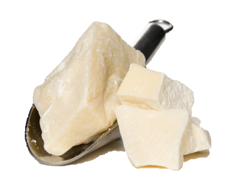Organic Cocoa Butter