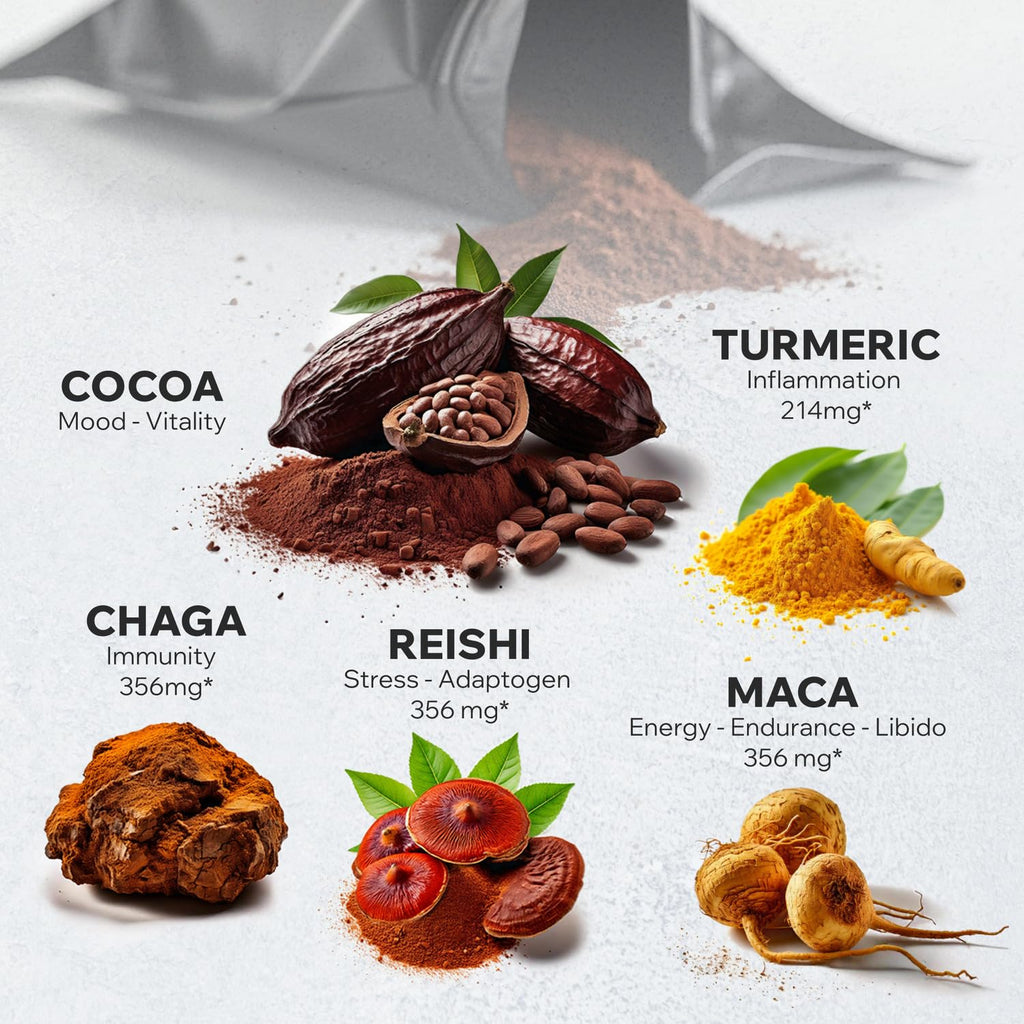 Bio-Cocotropic Pilz-Kakao – Zuckerfrei, Reishi & Chaga, 454g