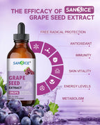 Organic Grape Seed Extract Liquid Drops 300mg – 95% Proanthocyanidins, Non-GMO, 4 fl oz